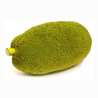 JackFruit