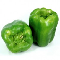 Capsicum