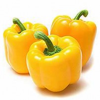 Capsicum Yellow
