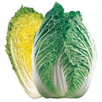 Chineese Cabbage