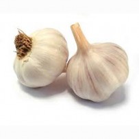 Big Garlic