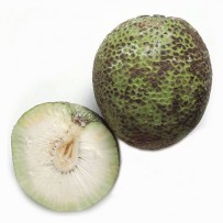 Palaakai [Raw jack fruit]