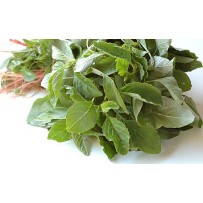 Amaranth [முளைக்கீரை]