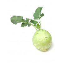 Turnip [Nookal]