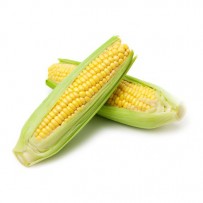 Sweet Corn